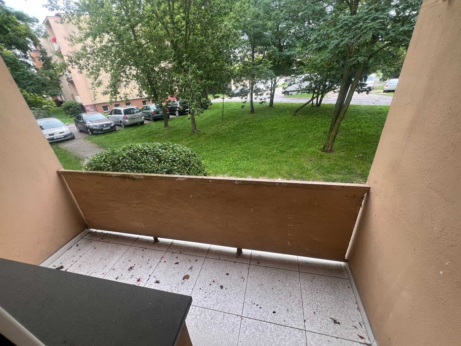 mieszkanie na wynajem