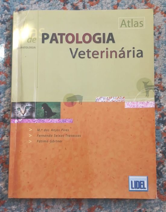 Vários livros  novos