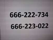złoty , prosty numer  666_223_022 , 666_306_076