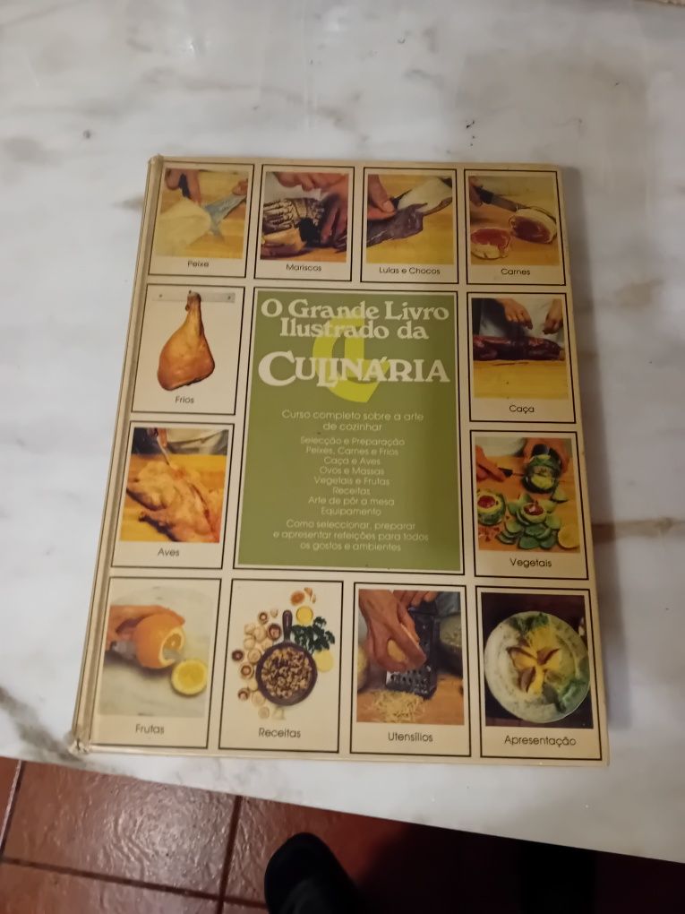 Livro O Grande Livro Ilustrado da Culinária