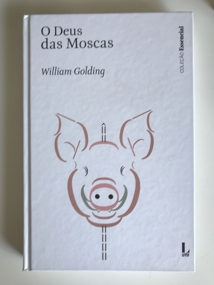 Livro “O Deus das Moscas”