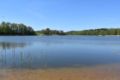 Wymarzona działka mazury Ełk Olecko jezioro las