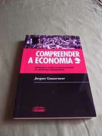 Compreender a Economia - Jacques Gouverneur