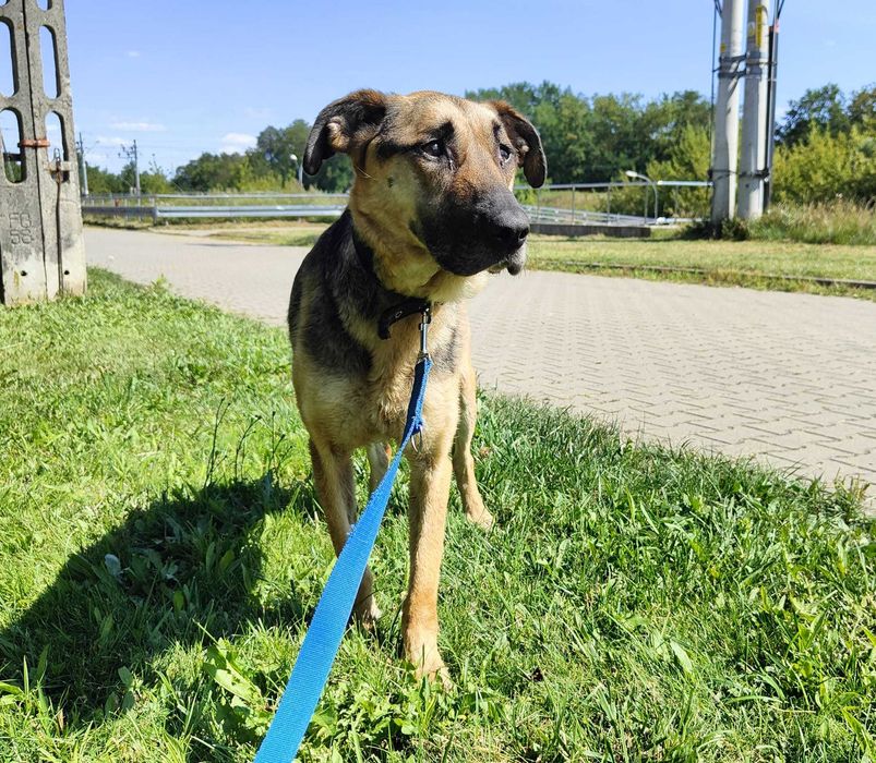 Siedlce, czyja zguba?