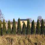 2 działki z domkiem, super lokalizacja, Żuławy, Malbork, Gdansk, Stegn