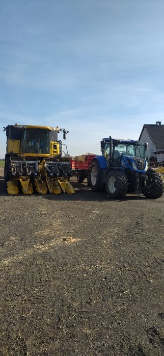 Koszenie Zbior Kukurydzy