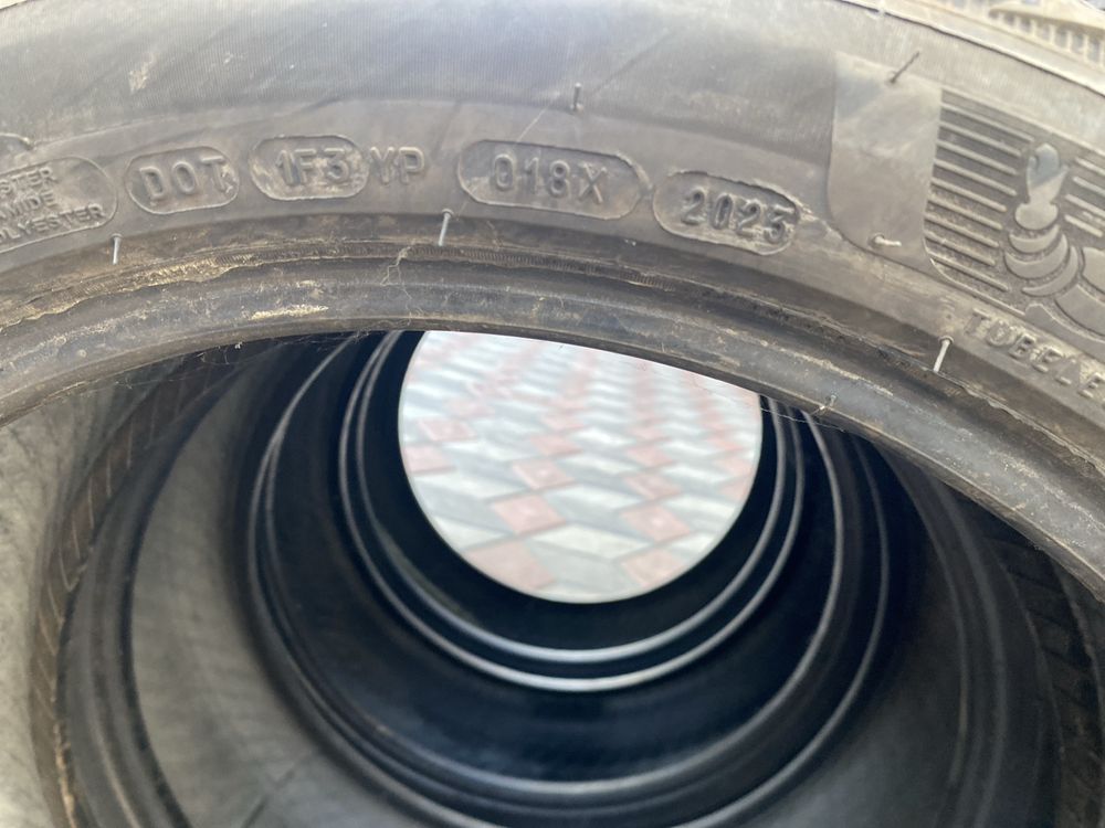 Michelin pilot alpin 5 AO 245/45/19. 102V