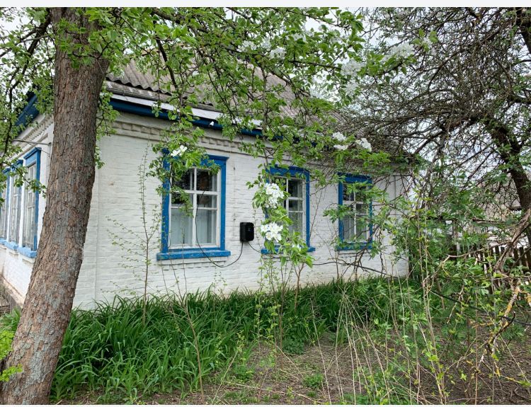 Будинок у селі Старосілля