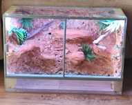 Terrarium 60/40/30 cm