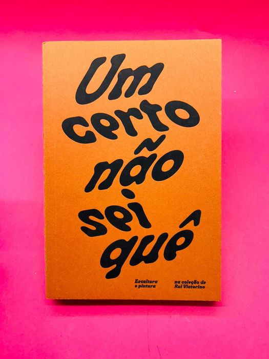 Um Certo Não Sei Quê - Escultura e pintura na coleção de Rui Victorino