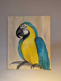 Obraz Papuga na płótnie