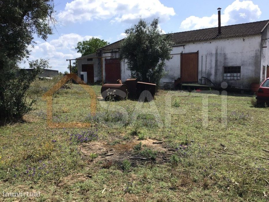 Terreno de 7.650m2 com lagar, inserido na Zona construível de Abrantes