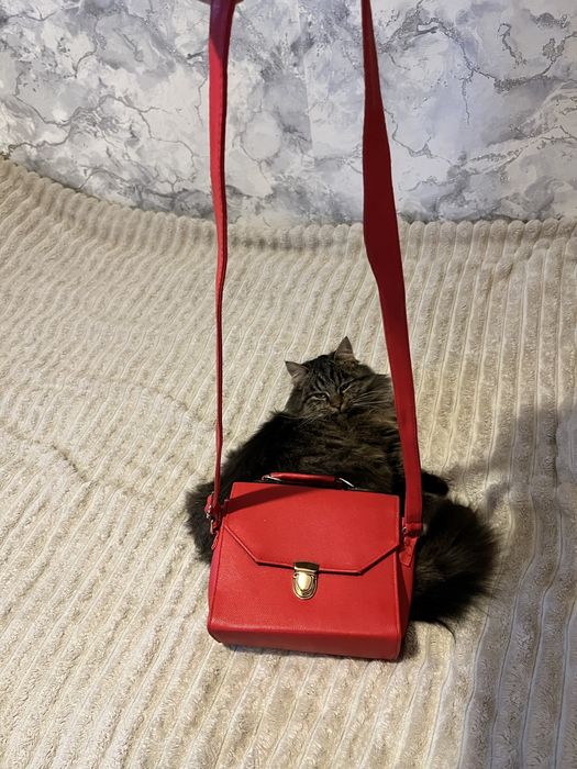 Сумка мінімалістична червона