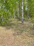 Sprzedam działkę budowlaną 1736m2