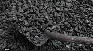 Usuwanie drzew oraz czyszczenie ogrodów