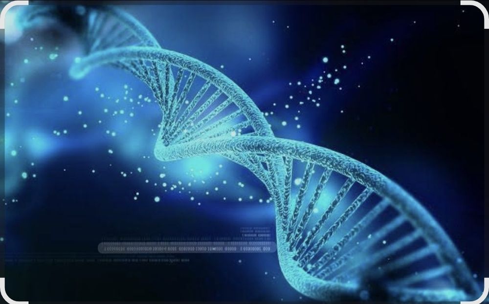 Korepetycje BIOLOGIA / egzaminator maturalny