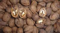 Орех грецкий в наличии 15 кг урожай 23 года