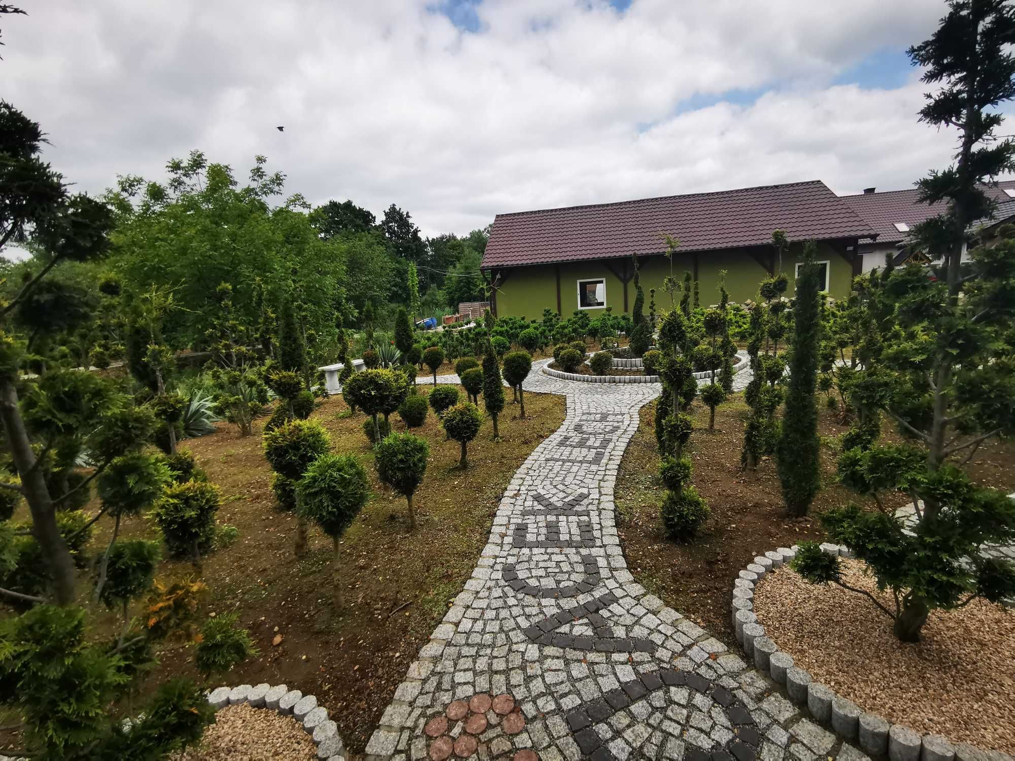 Szkółka drzewek ozdobnych i formowanych, duży wybór drzewek bonsai