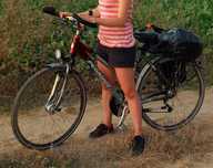 Skradziono Rower PEGASUS, damka srebrno-bordowy 28" !!!
