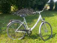 Rower treningowy Pegasus