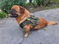 Жилетка для маленьких собак - военно тактическая жилетка для собак