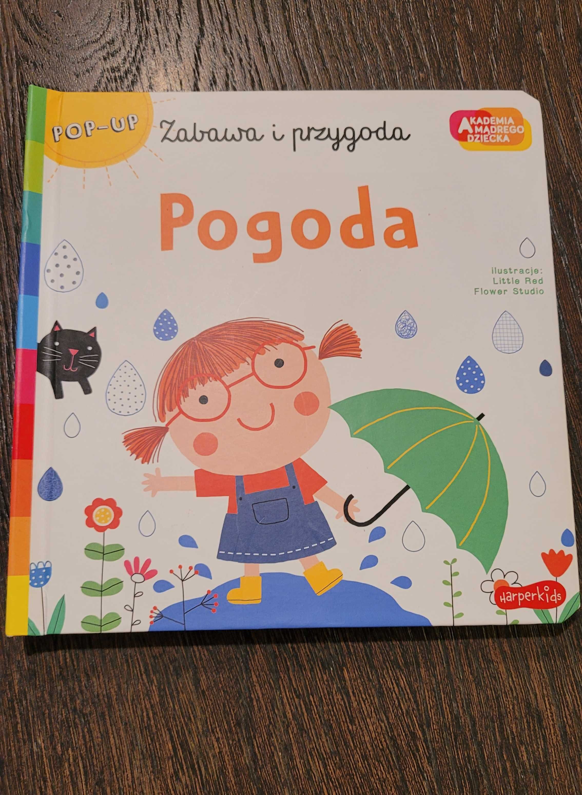 Nowa książka Pogoda Akademia Mądrego Dziecka