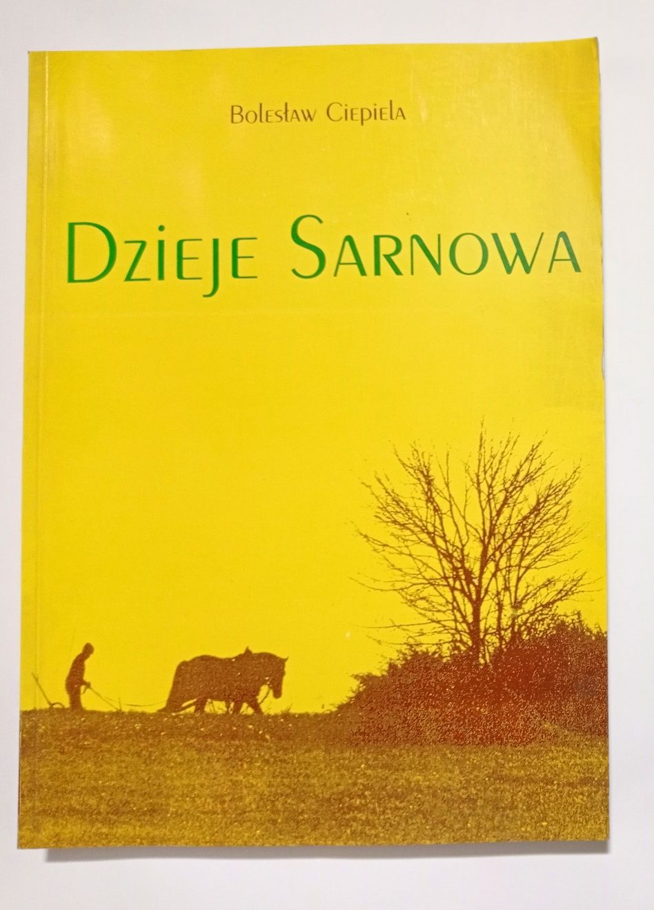 Dzieje Sarnowa Bolesław Ciepiela H193