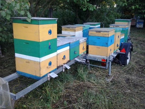 Платформа для перевезеня бджол