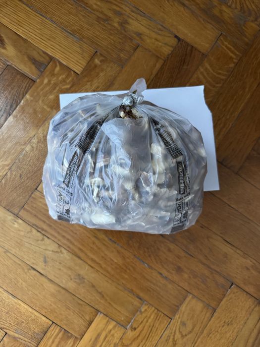 Сушені білі гриби