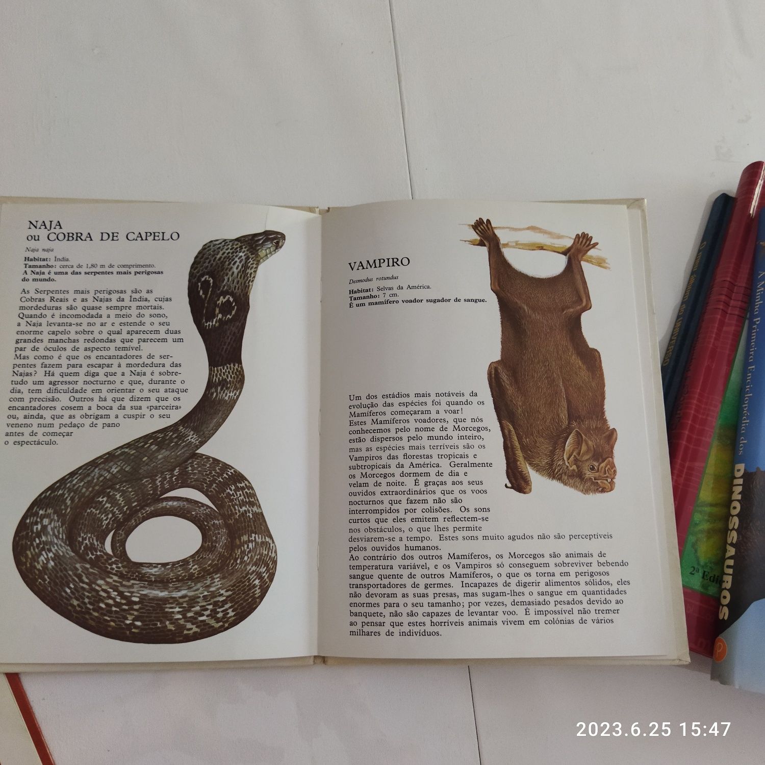 Os insetos/livros maravilhosos animais