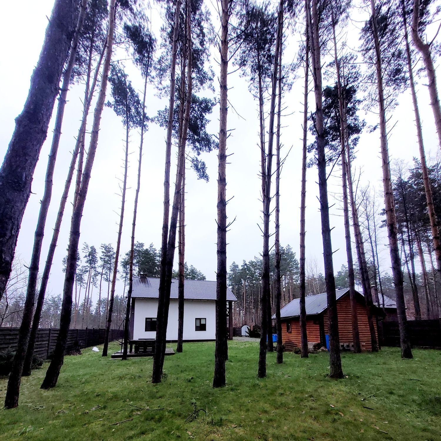 Новий Будинок з банею в лісі передмістя Житомира  Торг