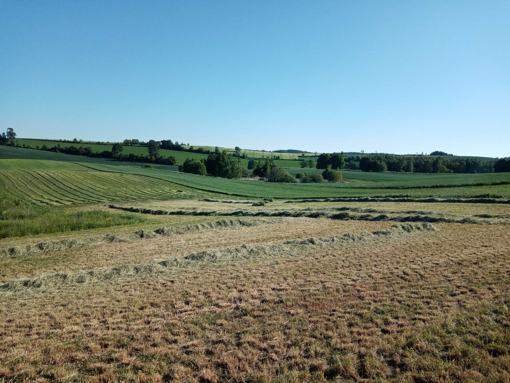 Wyjątkowa działka budowlana - Przodkowo