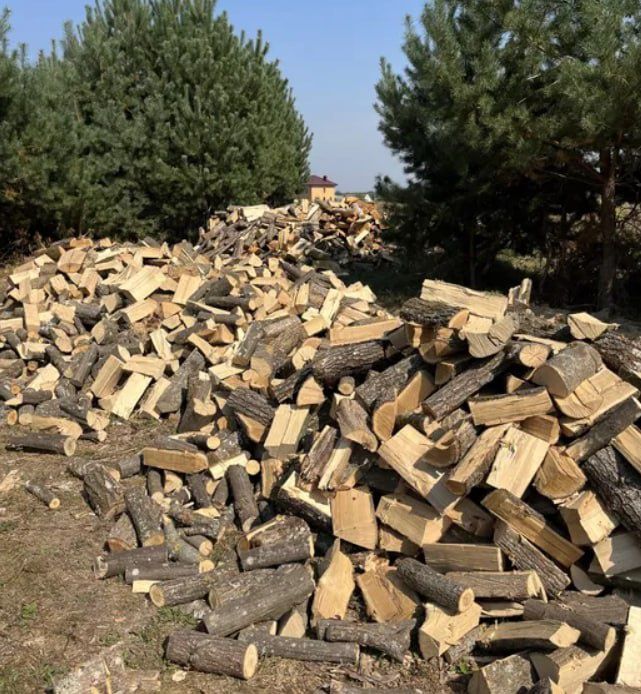 Мінімальні ціни на дубові дрова з доставкою. Дзвоніть. (5-15 м3)