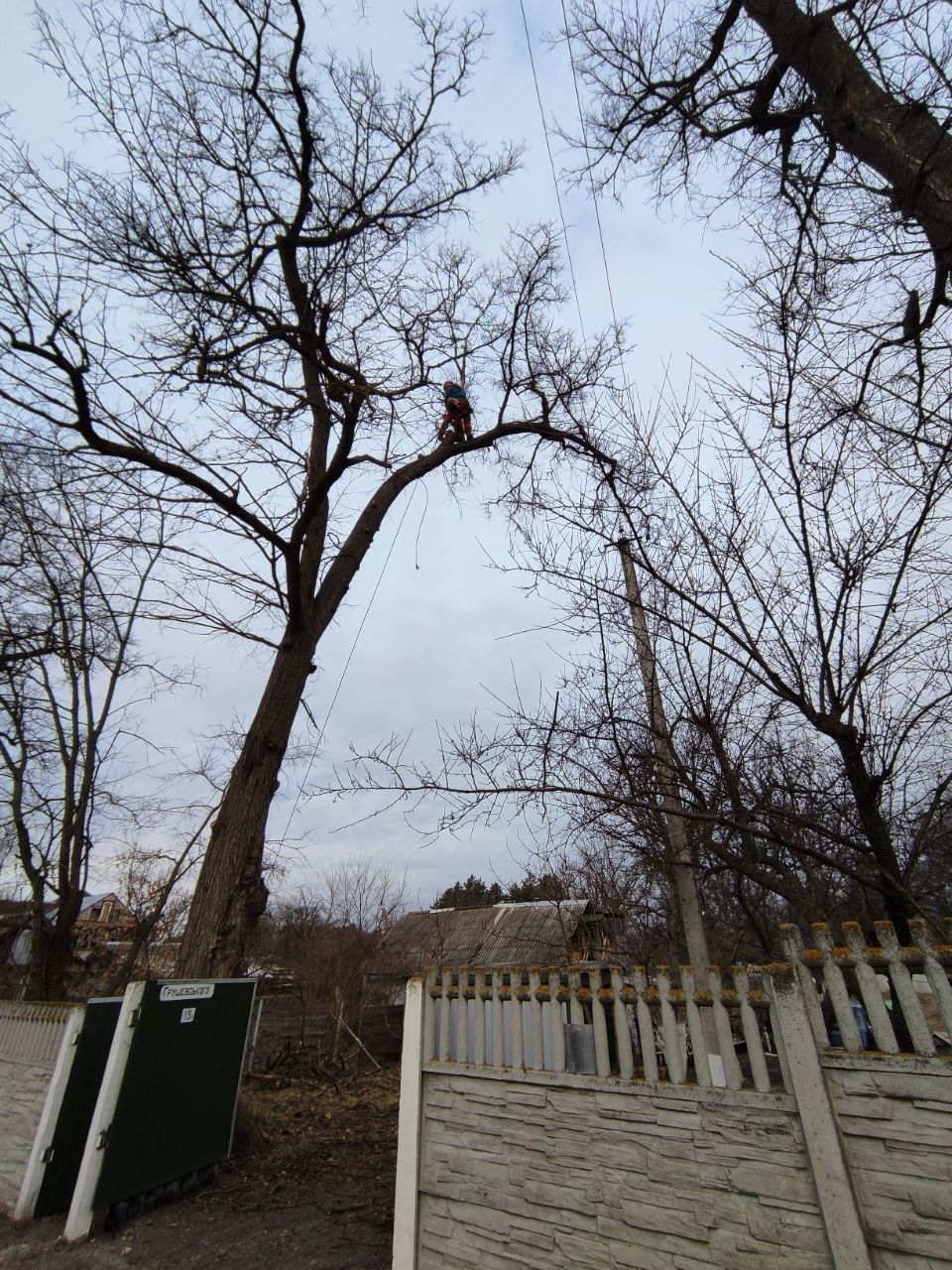 Видалити дерево удалить зрізати обрізка  кронувати спилить видалення