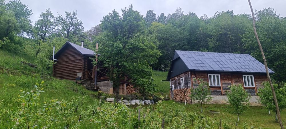 Здається будинок для відпочинку в лісі з сауною холодним басейномта ча