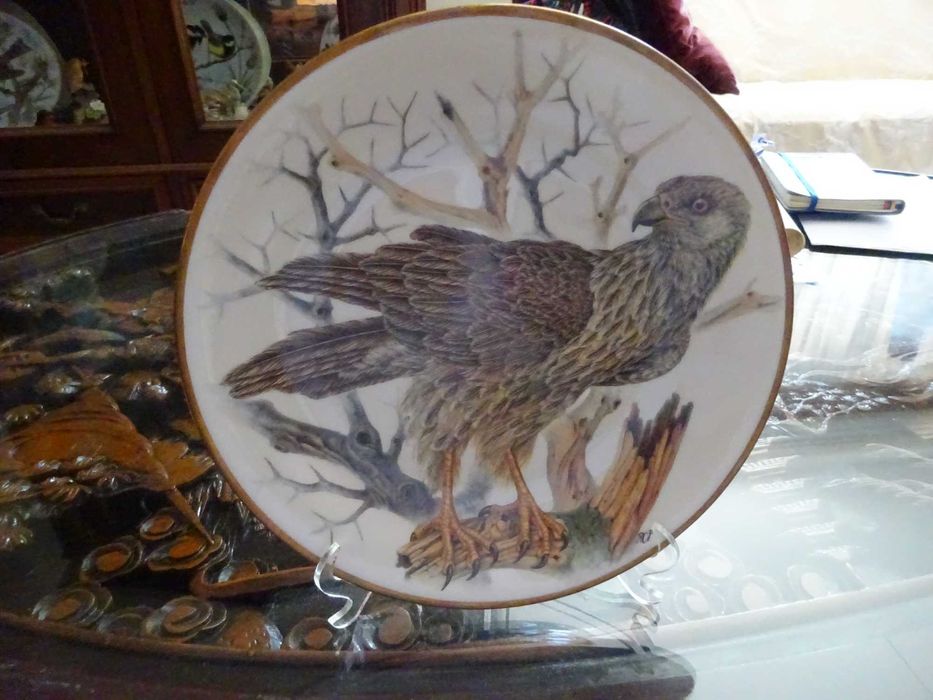 Pratos porcelana Aves Exóticas