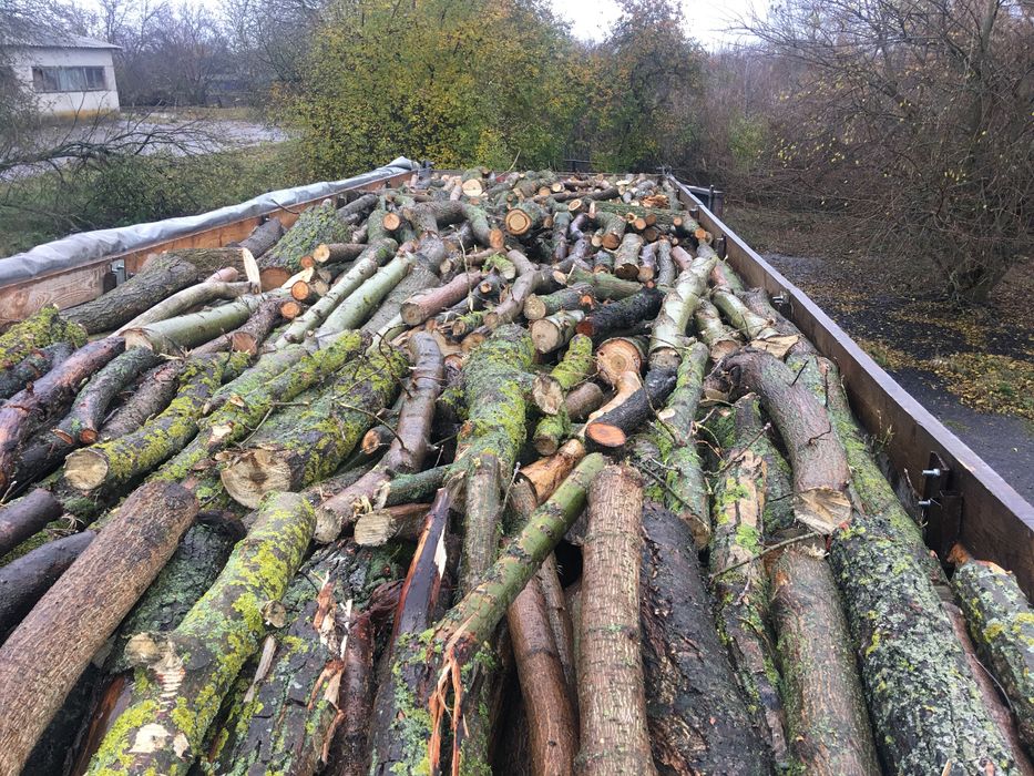 Продам дрова різних порід.