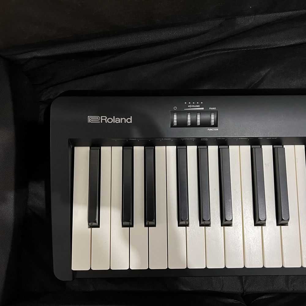 Roland FP-10 + Cover + Pedal + Bag