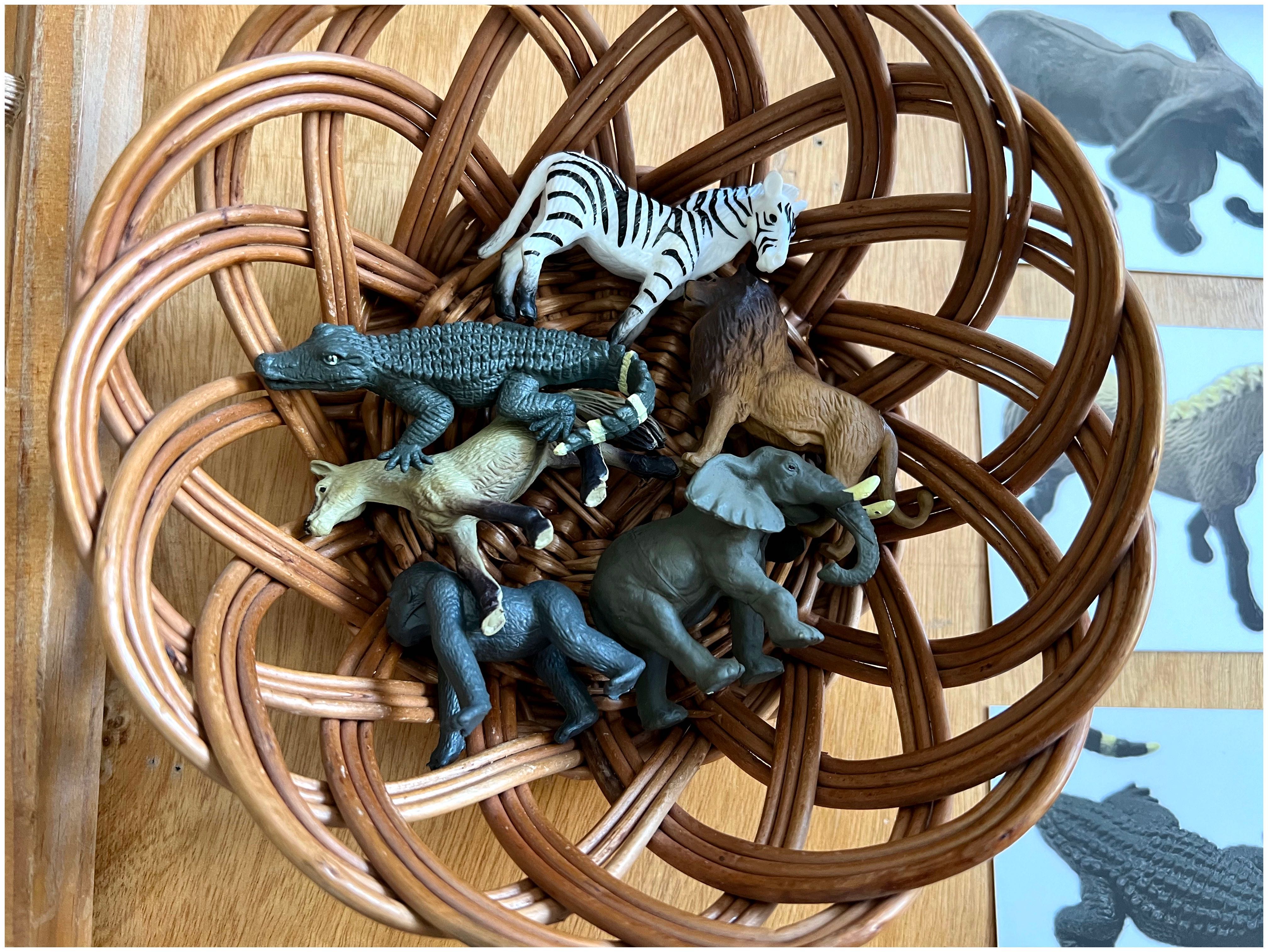 Animais da Selva - Montessori