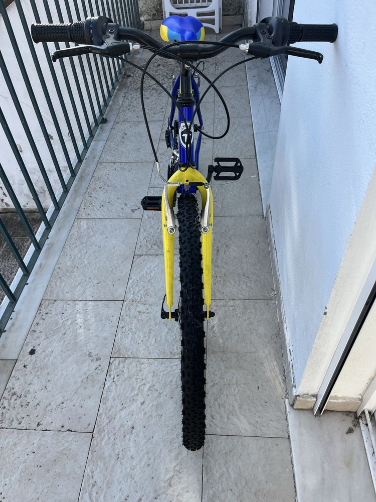 Bicicleta “Team adventure”