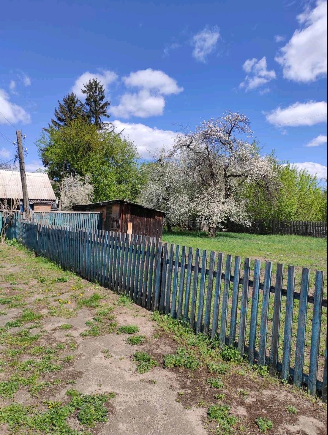 Будинок Розважів, 15сот