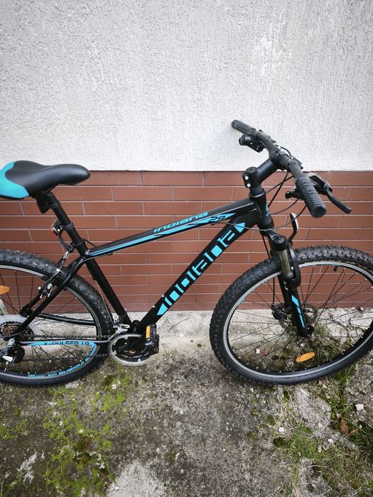 Rower górski MTB INDIANA X-Pulser 1.9 M19