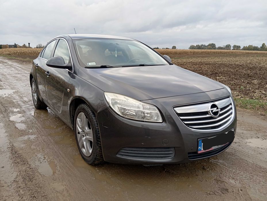 Opel Insignia 2.0 CDTI  2009r. Hatchback Niski przebieg