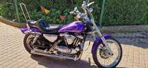 Harley-Davidson Sportster Harley Davidson XL 1200 883 Sportster  Softail Dyna Evo Glide Dyna