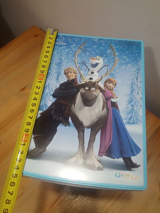 Pojemnik z szufladami frozen