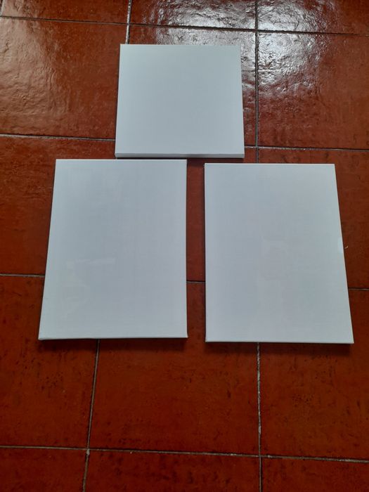 Conjunto de telas para pintura