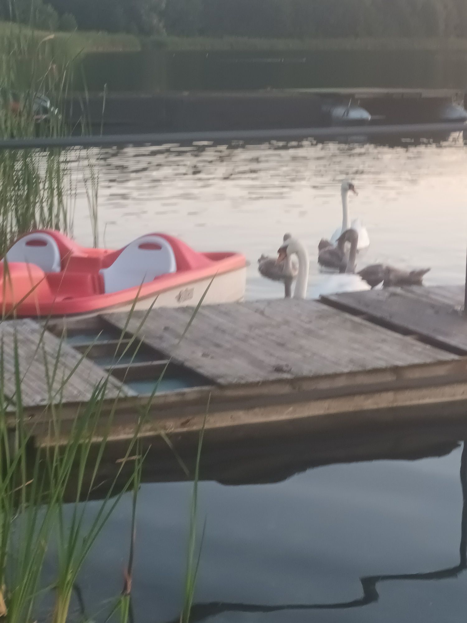 Sprzedam rowerek wodny