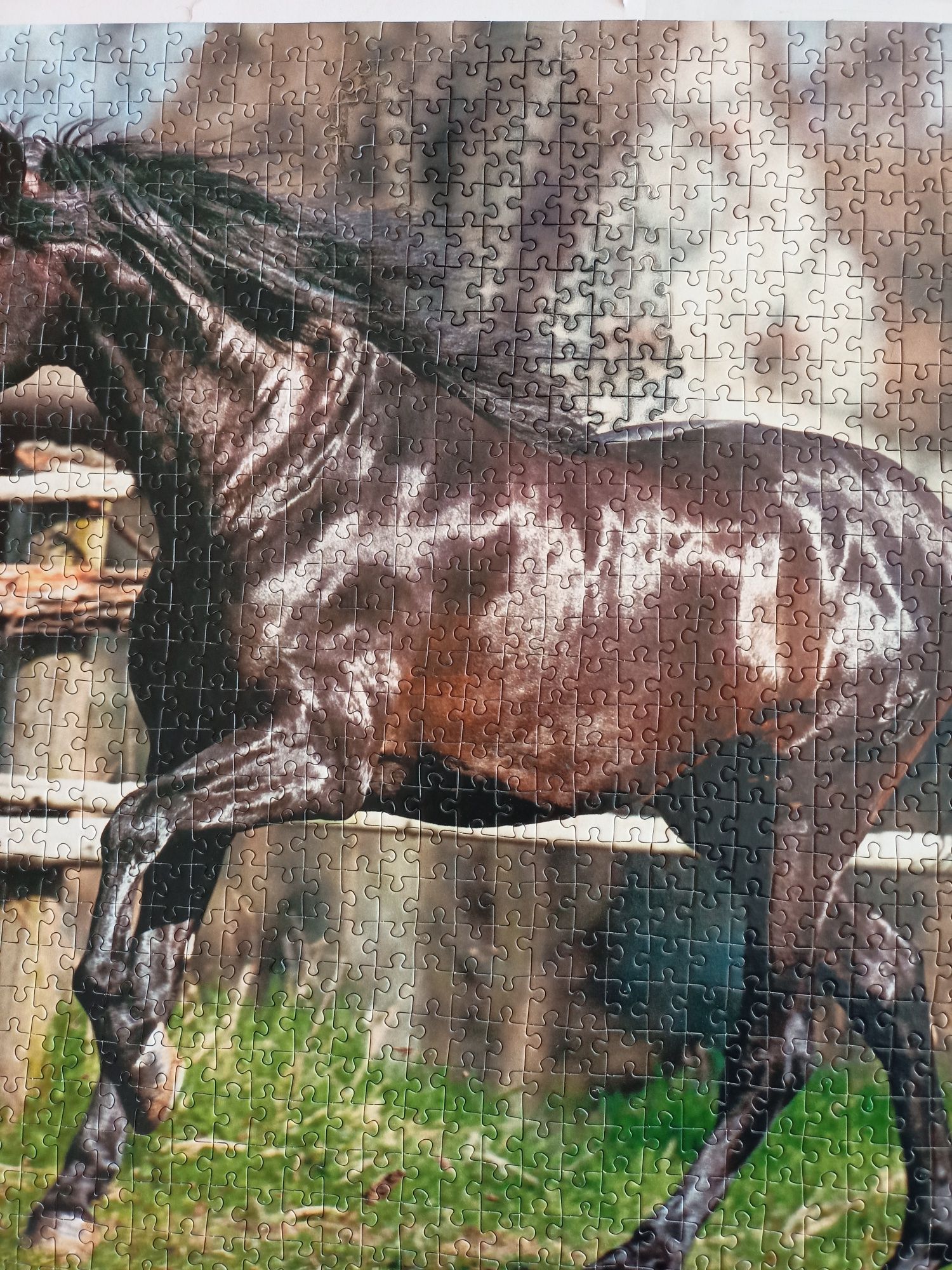 Puzzle 1500 koń Castorland