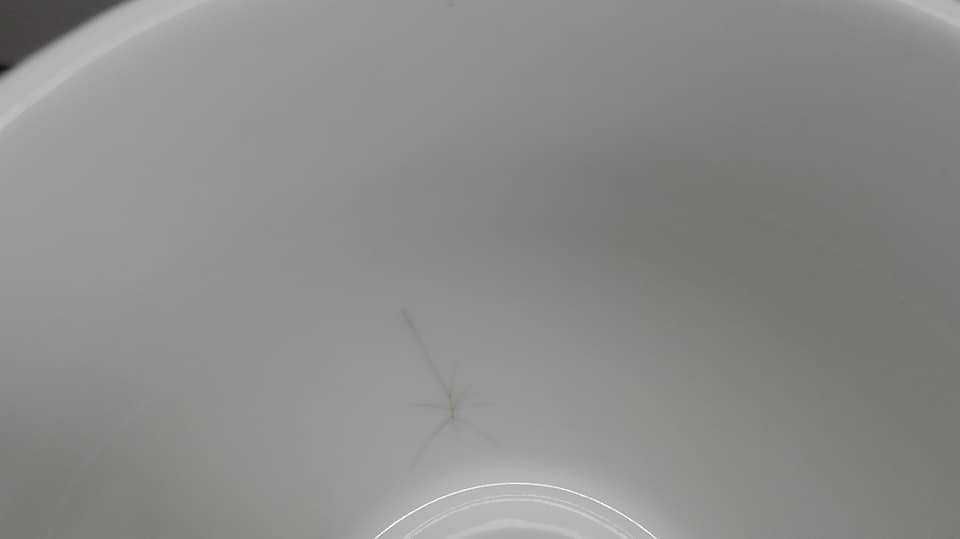 Veroni kolekcja Gabi komplet 6 szt filiżanka + talerzyk 230 ml