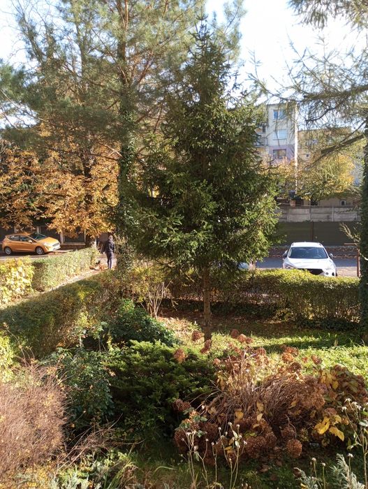 Sprzedam mieszkanie 3 pokoje Sosnowiec Niwka.